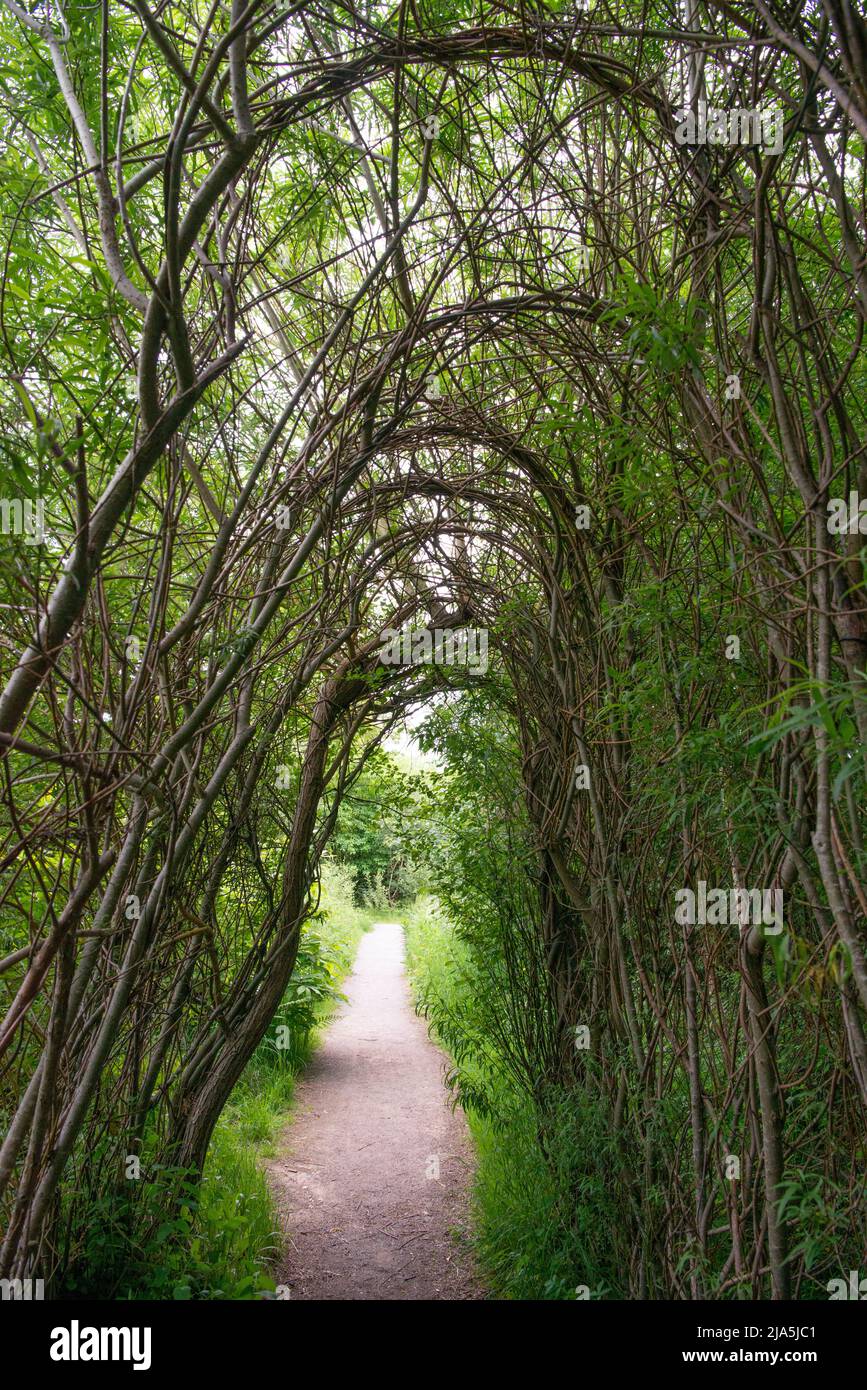 La passerella Willow lungo l'Art Trail a West Blean Woods, Kent, Regno Unito Foto Stock