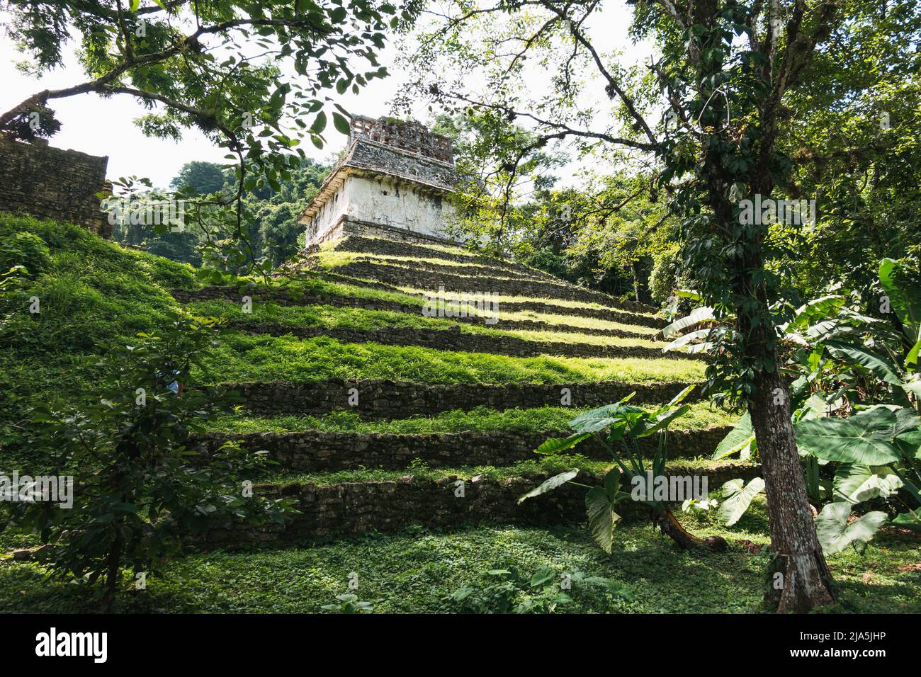 Il retro del Tempio del Conte a Palenque, un sito archeologico maya a Chiapas, Messico Foto Stock