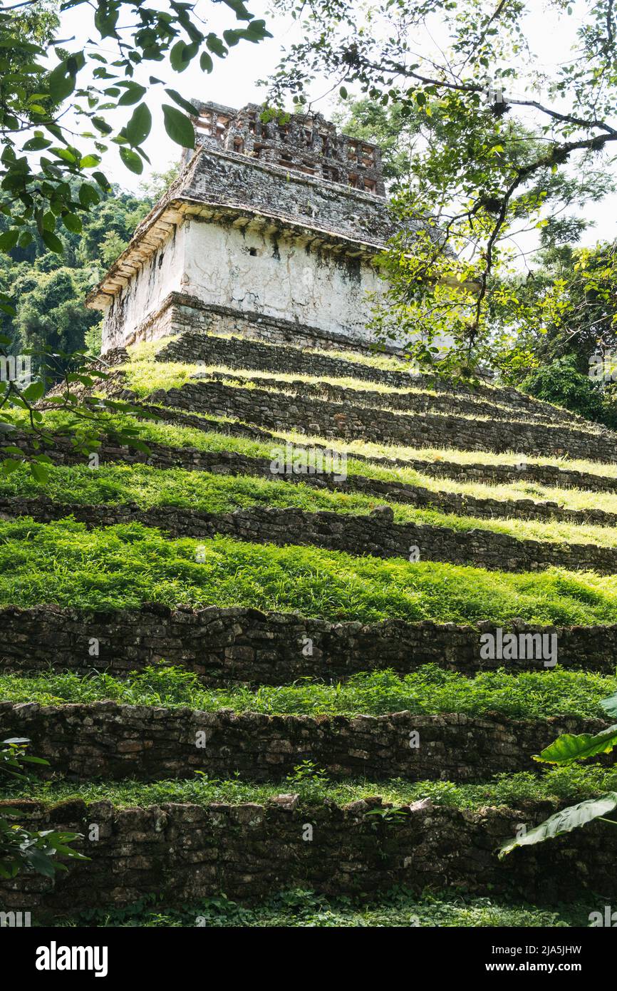 Il retro del Tempio del Conte a Palenque, un sito archeologico maya a Chiapas, Messico Foto Stock