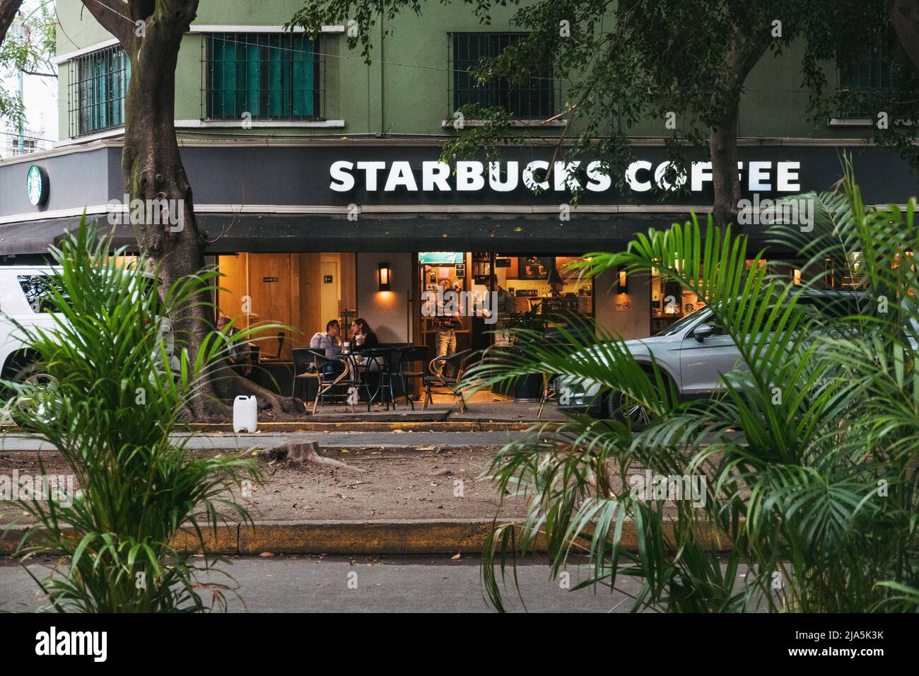 Una caffetteria Starbucks nel frondoso sobborgo cittadino di Roma Norte, Città del Messico Foto Stock