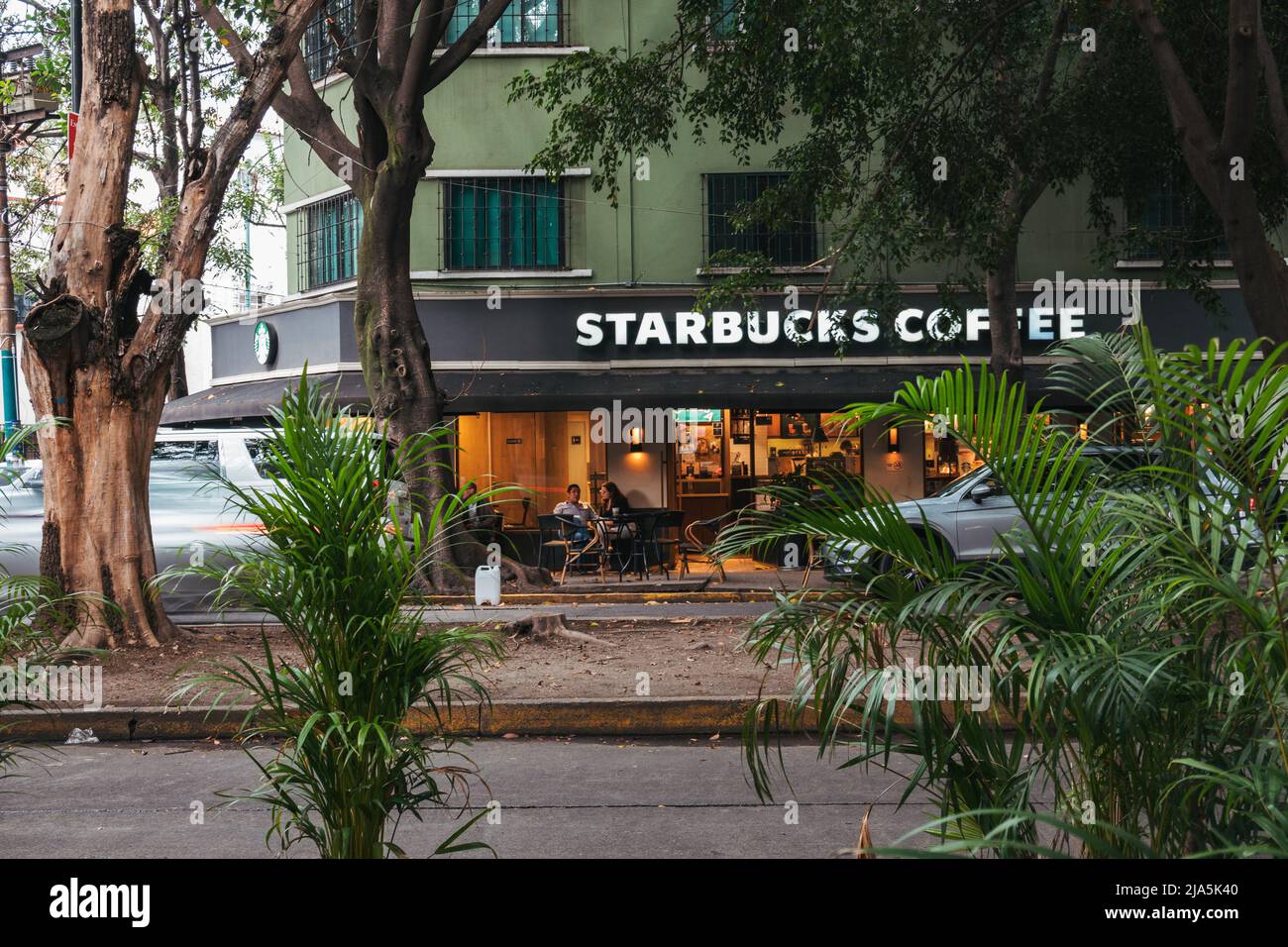 Una caffetteria Starbucks nel frondoso sobborgo cittadino di Roma Norte, Città del Messico Foto Stock