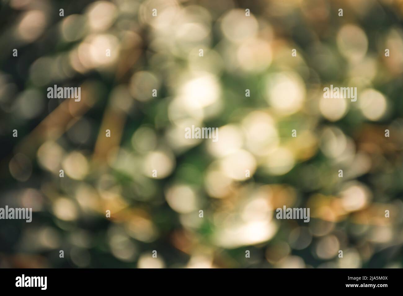 Brillante sfondo astratto di primavera sfocato con luccicanti macchie di sole di verde, giallo e bianco. Bokeh. Concetto di giorno d'autunno soleggiato. Copia spazio per il testo Foto Stock