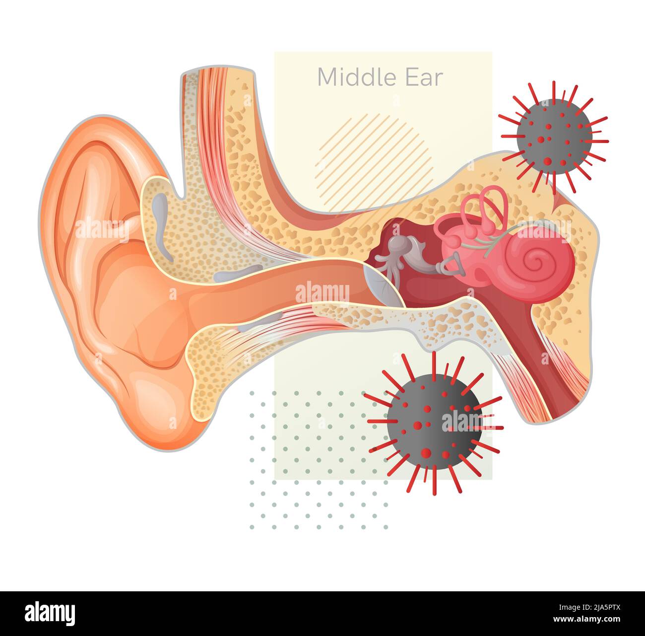 Covid Impact on Human Ear - Illustrazione in stock come file EPS 10 Illustrazione Vettoriale