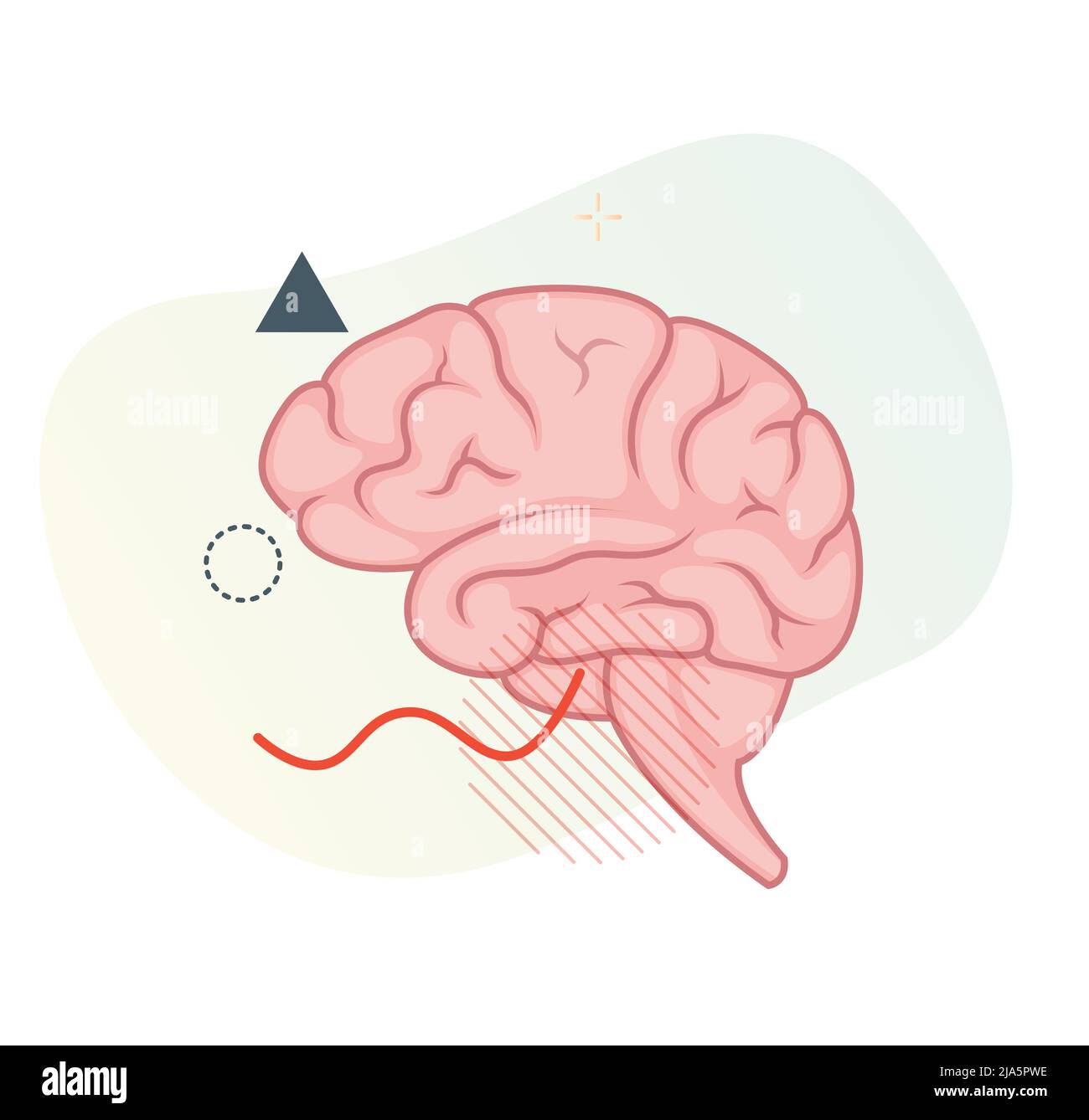 Effetto neurologico sul cervello dovuto a Covid-19 - icona come File EPS 10 Illustrazione Vettoriale