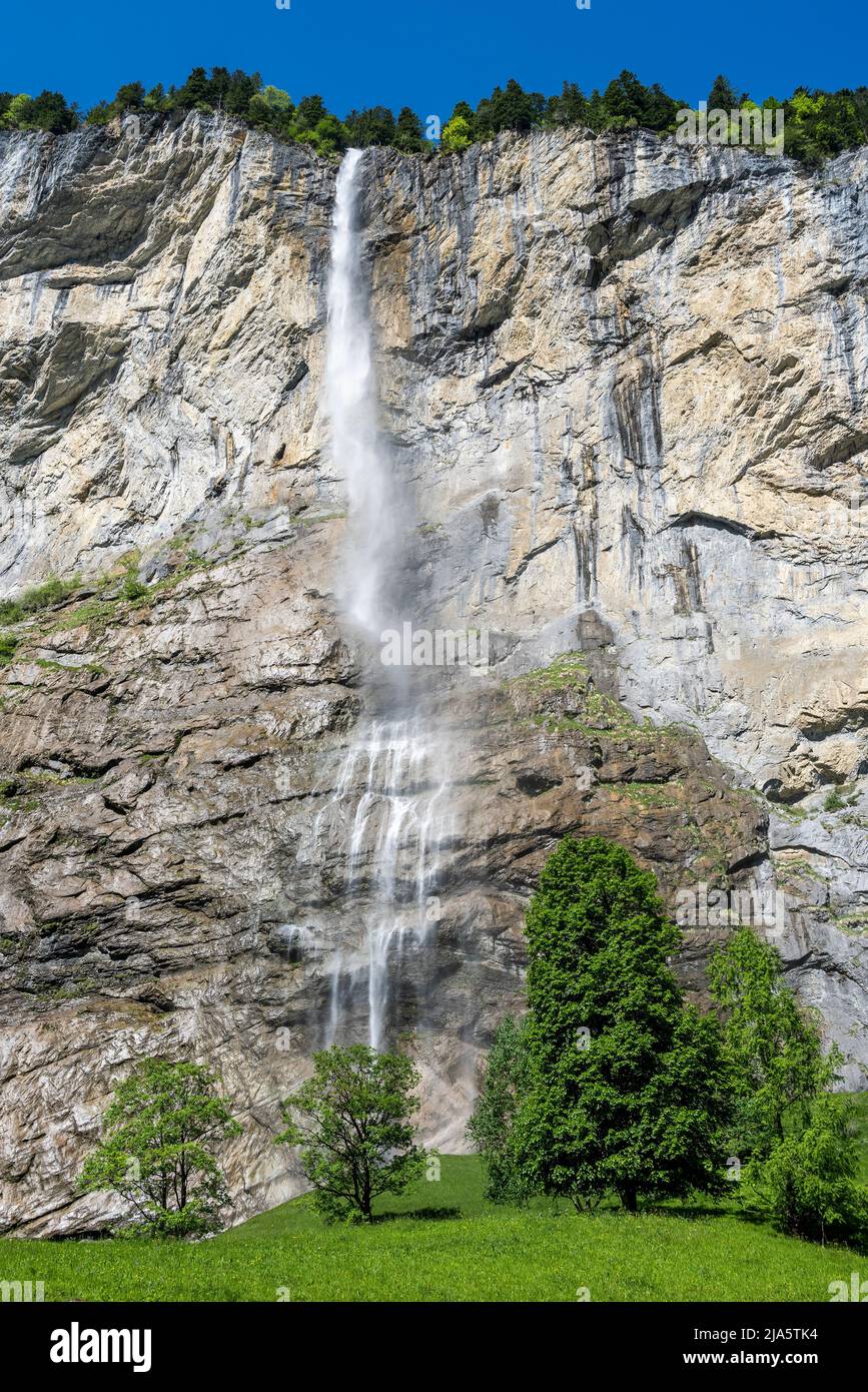 Cascata di Staubbach, Lauterbrunnen, Canton Berna, Svizzera Foto Stock