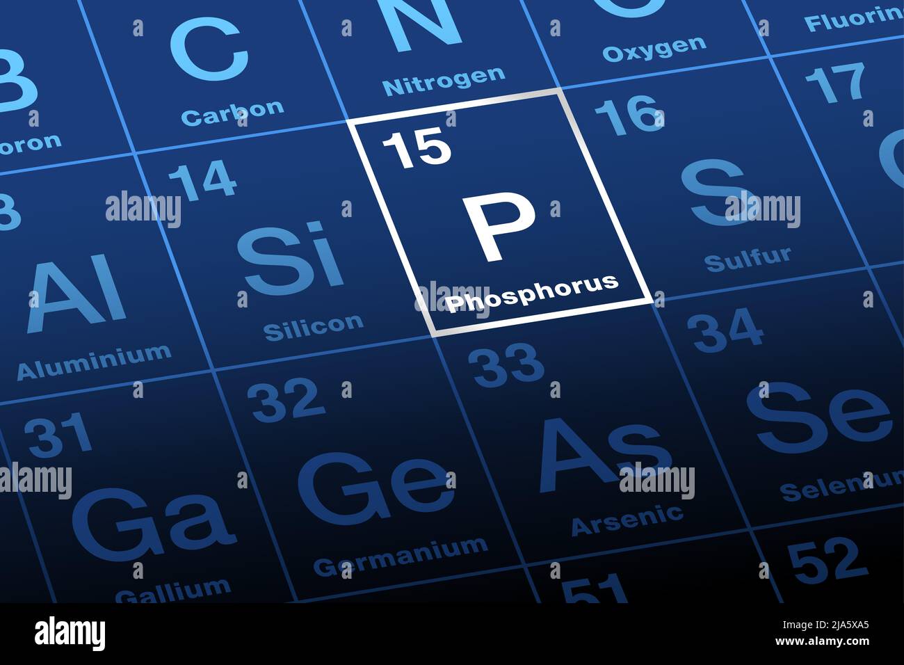 Fosforo su tavola periodica degli elementi. Elemento chimico con simbolo P e numero atomico 15. Un elemento essenziale per sostenere la vita. Foto Stock