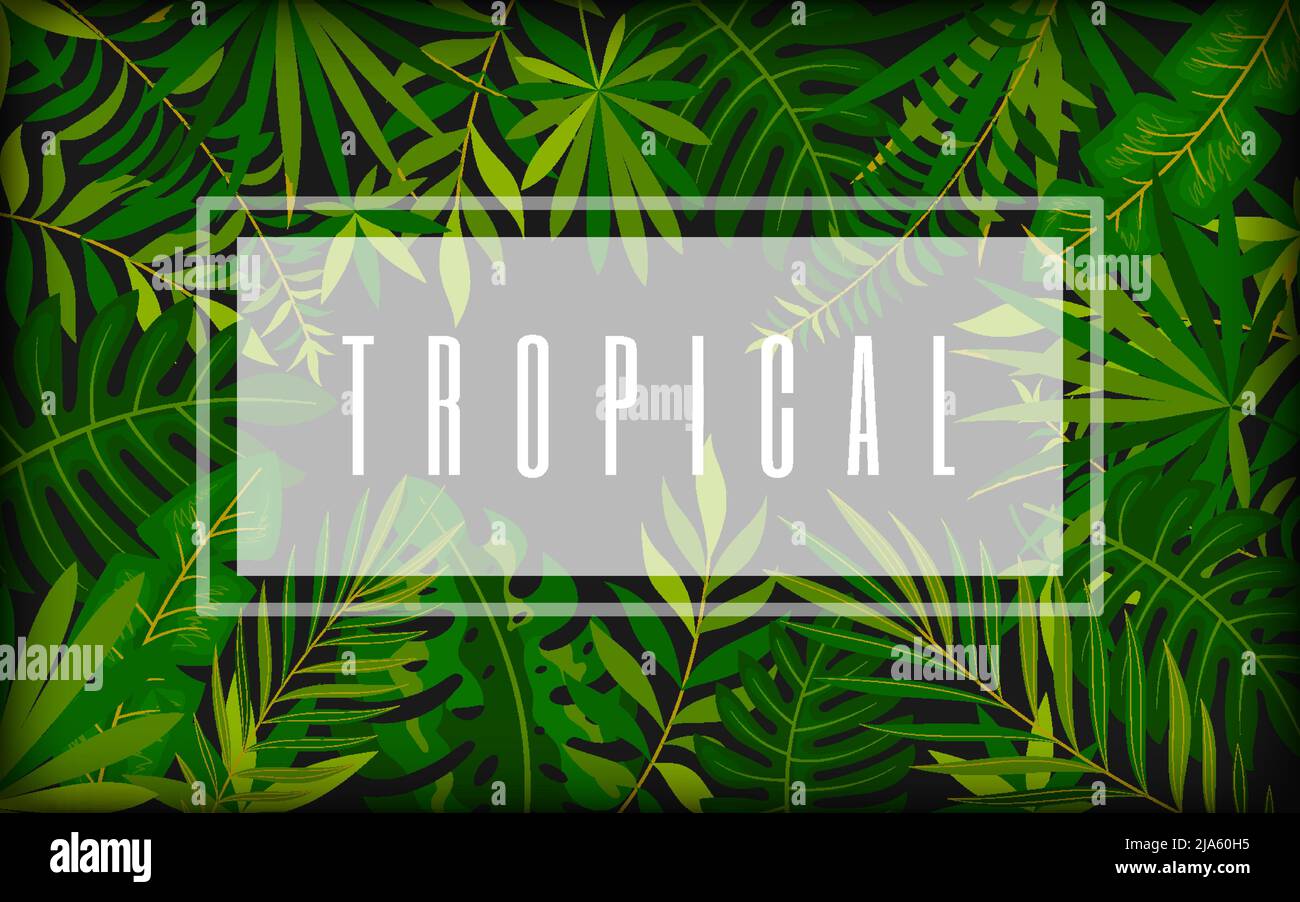 Tropicale foliage alla moda banner card stile piatto scuro. Luxury background elite nero screen saver modello promozionale cosmetici organici esotici. Festa a tema invito biglietto visita salone di bellezza Illustrazione Vettoriale