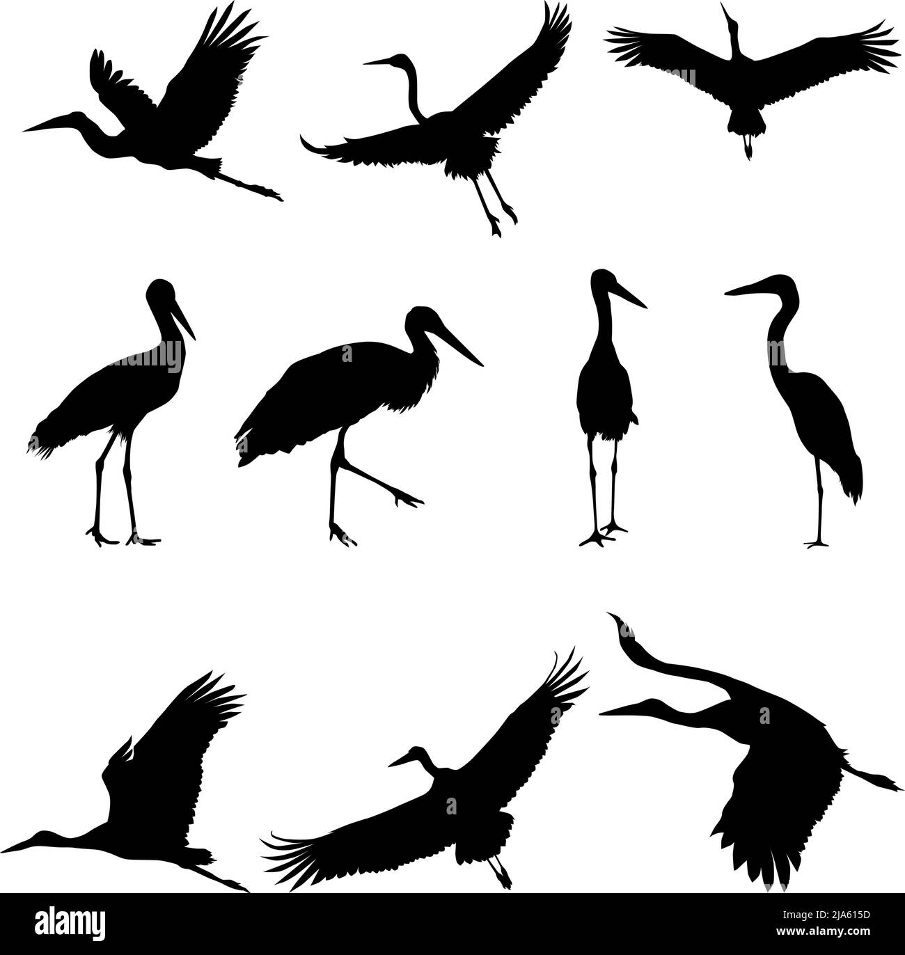 Silhouette o icone ombra inchiostro nero di uccelli gru o aironi volare e in piedi set. Gruppo di storks modello di contorno o vettore di sfondo creativo Illustrazione Vettoriale