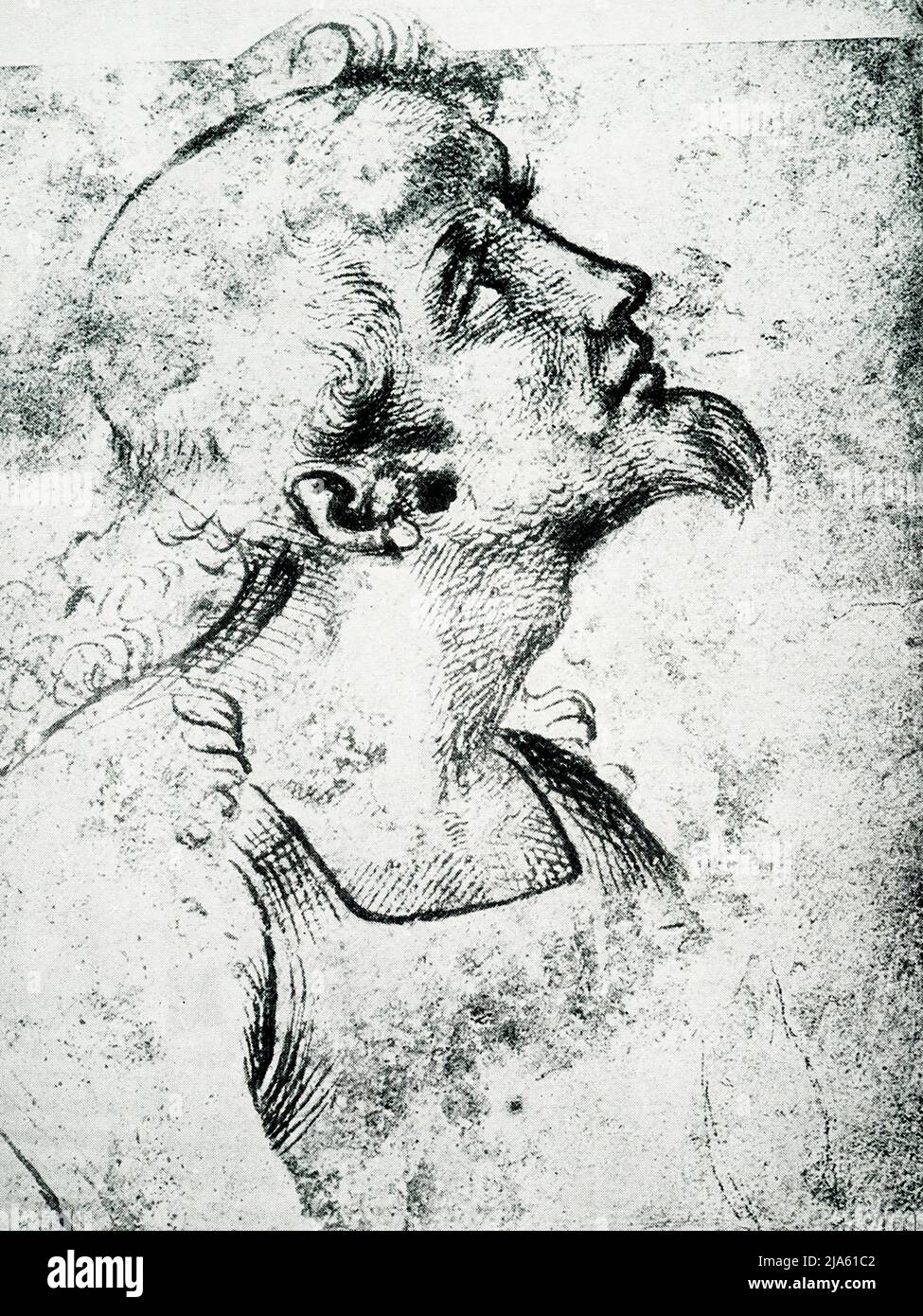 Questo disegno, Head in Profile, di Raffaello (1483-1520) è all'Accademia di Belle Arti di Venezia. Il volto rovesciato può essere la testa di un santo. Raffaello Sanzio da Urbino fu pittore e architetto italiano dell'Alto Rinascimento. Il suo lavoro è ammirato per la sua chiarezza di forma, la facilità di composizione, e la realizzazione visiva dell'ideale neoplatonico della grandezza umana. Foto Stock