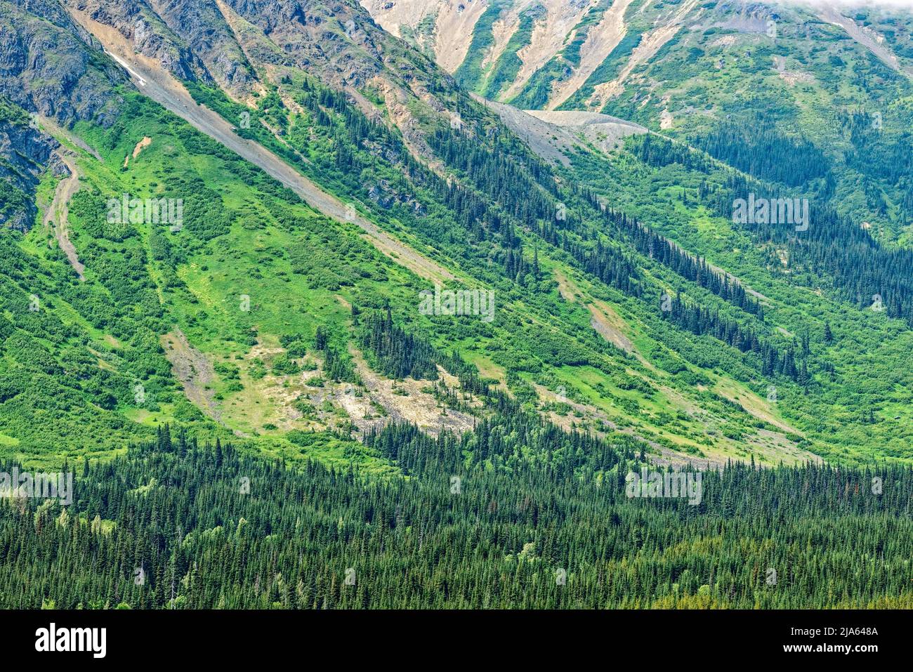 La base delle montagne verdeggianti vicino a Bob Quinn, British Columbia, Canada Foto Stock