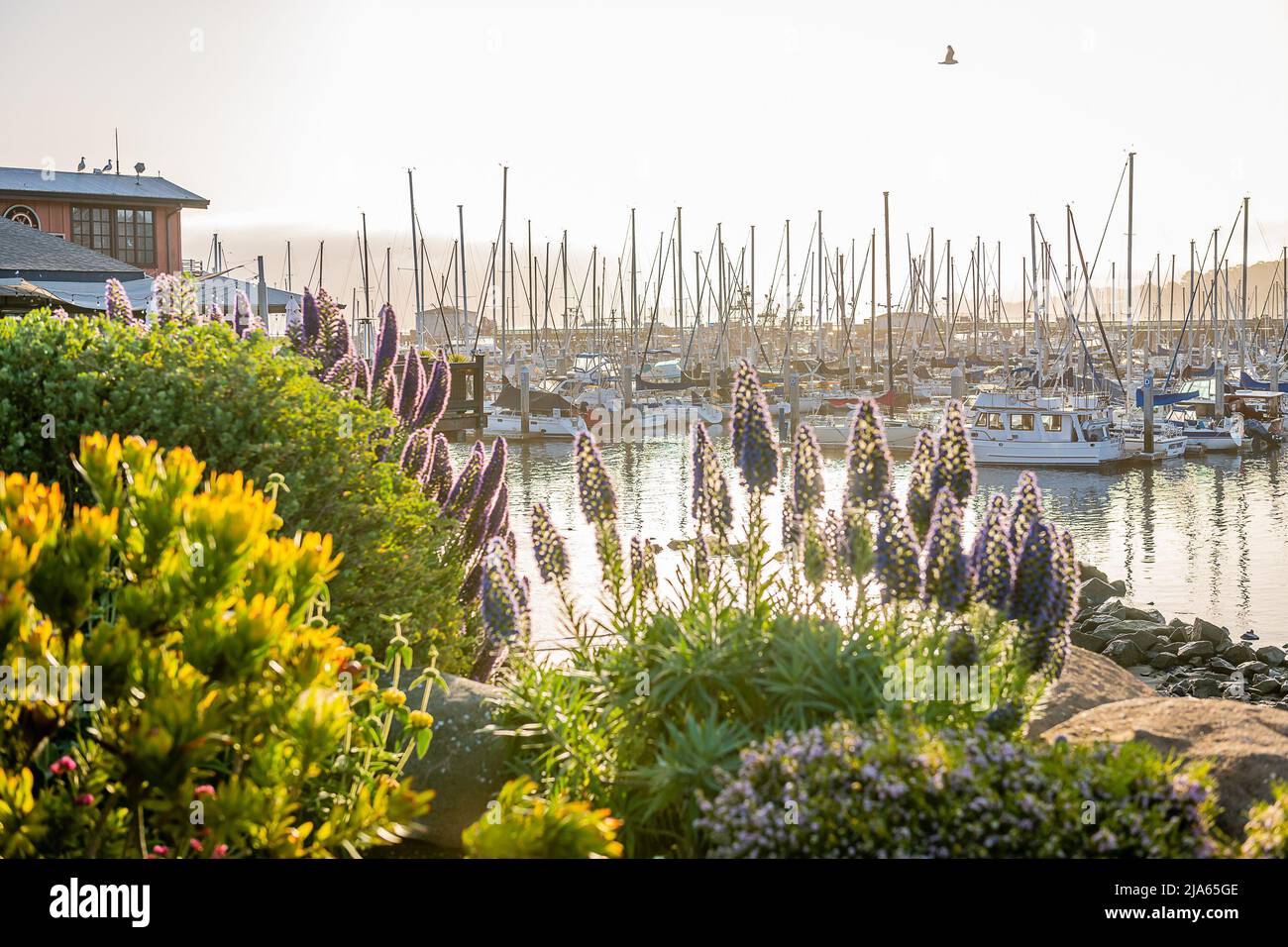 Monterey, California Foto Stock
