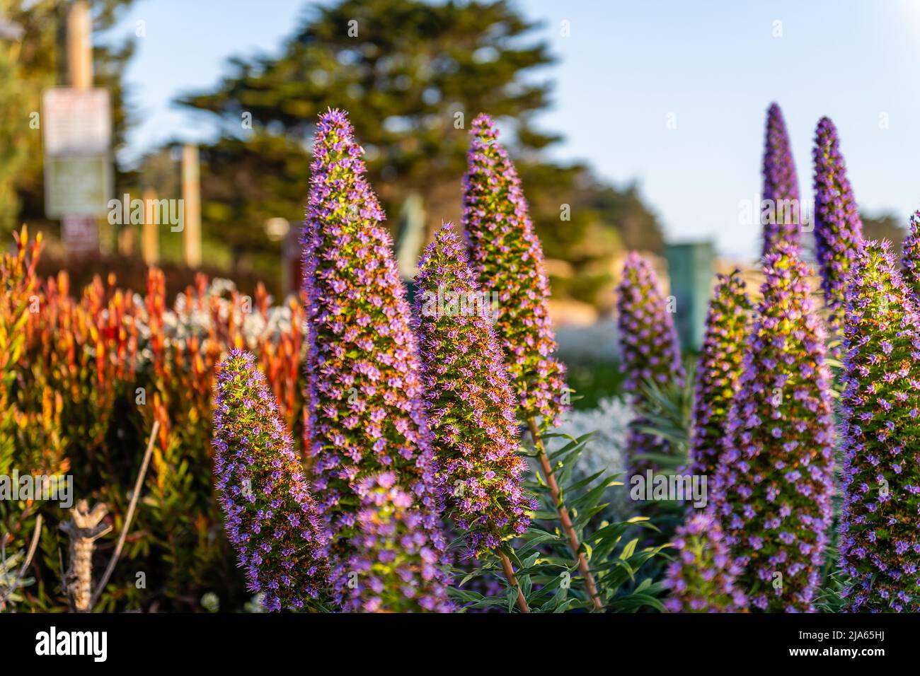 Monterey, California Foto Stock