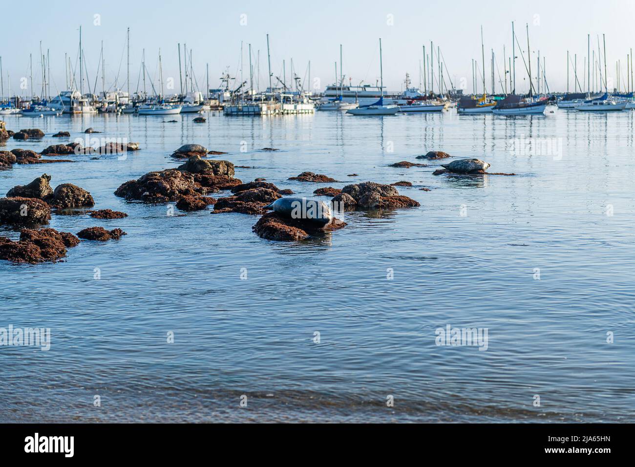 Monterey, California Foto Stock