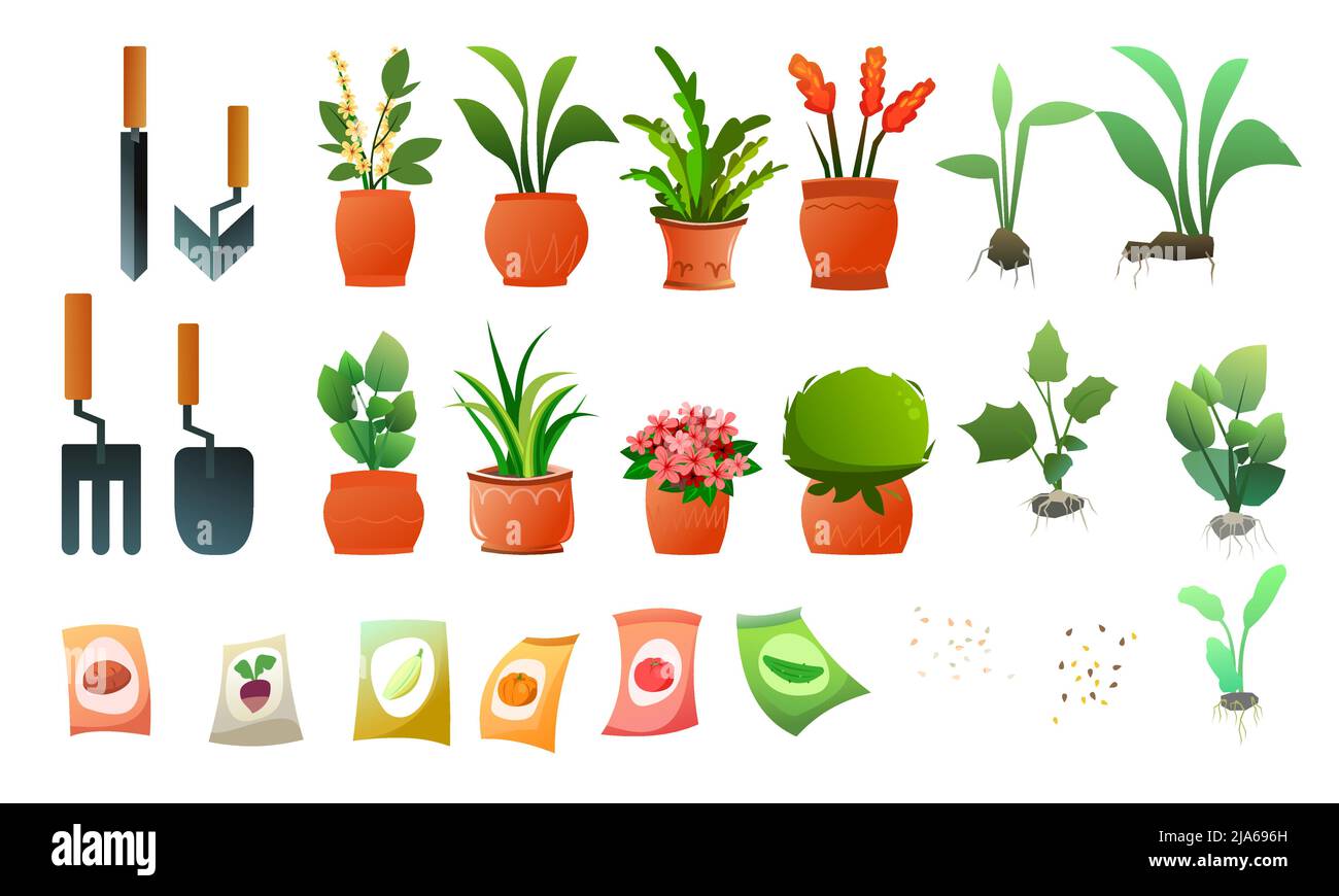 Set di piante e fiori interni. Attrezzi di giardino e semi. In pentole di ceramica. Belle erbe fatte in casa. Isolato su sfondo bianco. Stile divertente Cartoon. Illustrazione Vettoriale