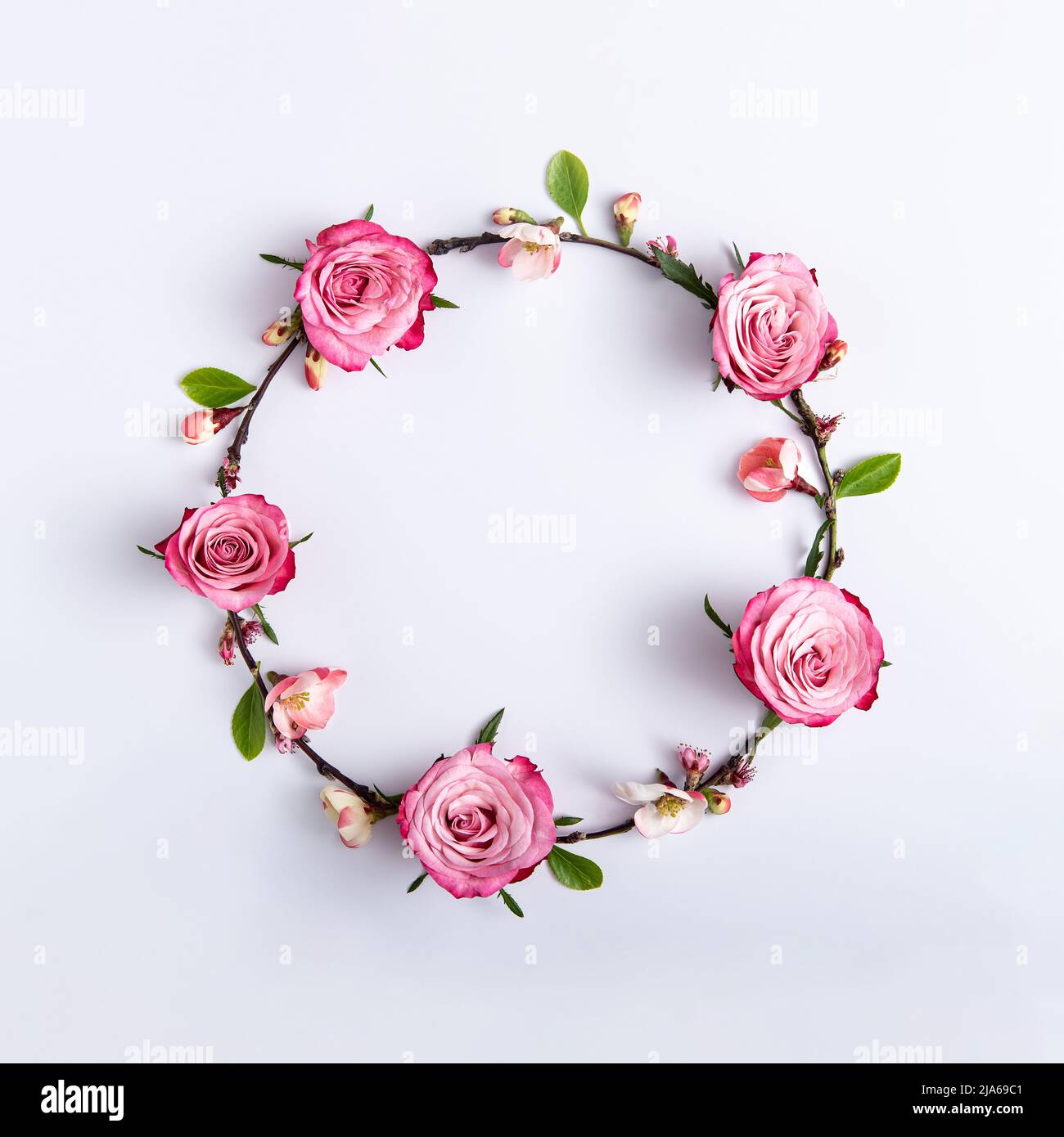 Cornice rotonda di rose rosse su sfondo grigio chiaro. Concetto astratto minimo. Quadrato con spazio di copia. Vista dall'alto, piatto Foto Stock