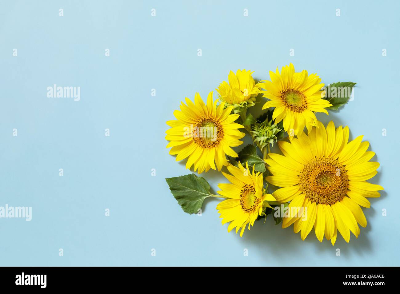 Biglietti di auguri a forma di sole sorridente, buste uniche per biglietti fai da te, inviti di compleanno e matrimoni