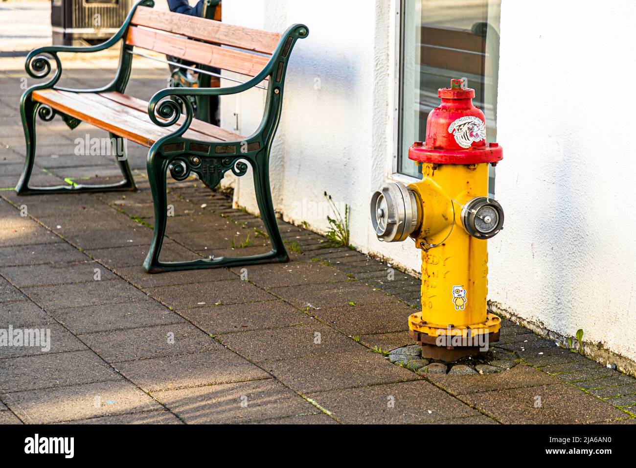 Un idrante antincendio giallo e rosso si trova qui su un marciapiede a Reykjavik, Islanda, accanto a una panchina in legno verniciata di verde davanti al muro bianco di una casa. Foto Stock