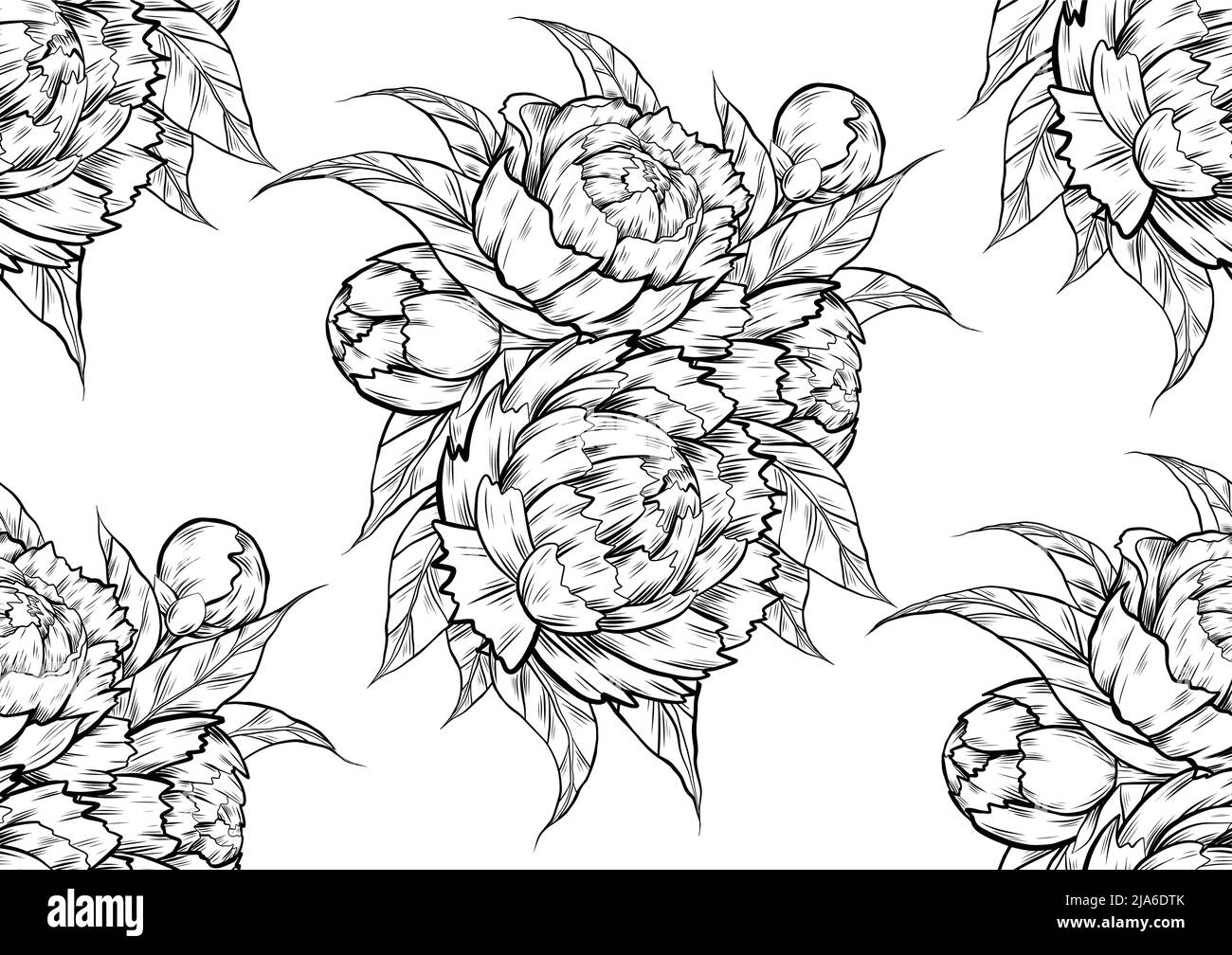 Pattern monocromatico senza giunture con schizzo di un mazzo di peonie su sfondo bianco. Struttura botanica vettoriale con disegno di un bouquet di fiori Illustrazione Vettoriale