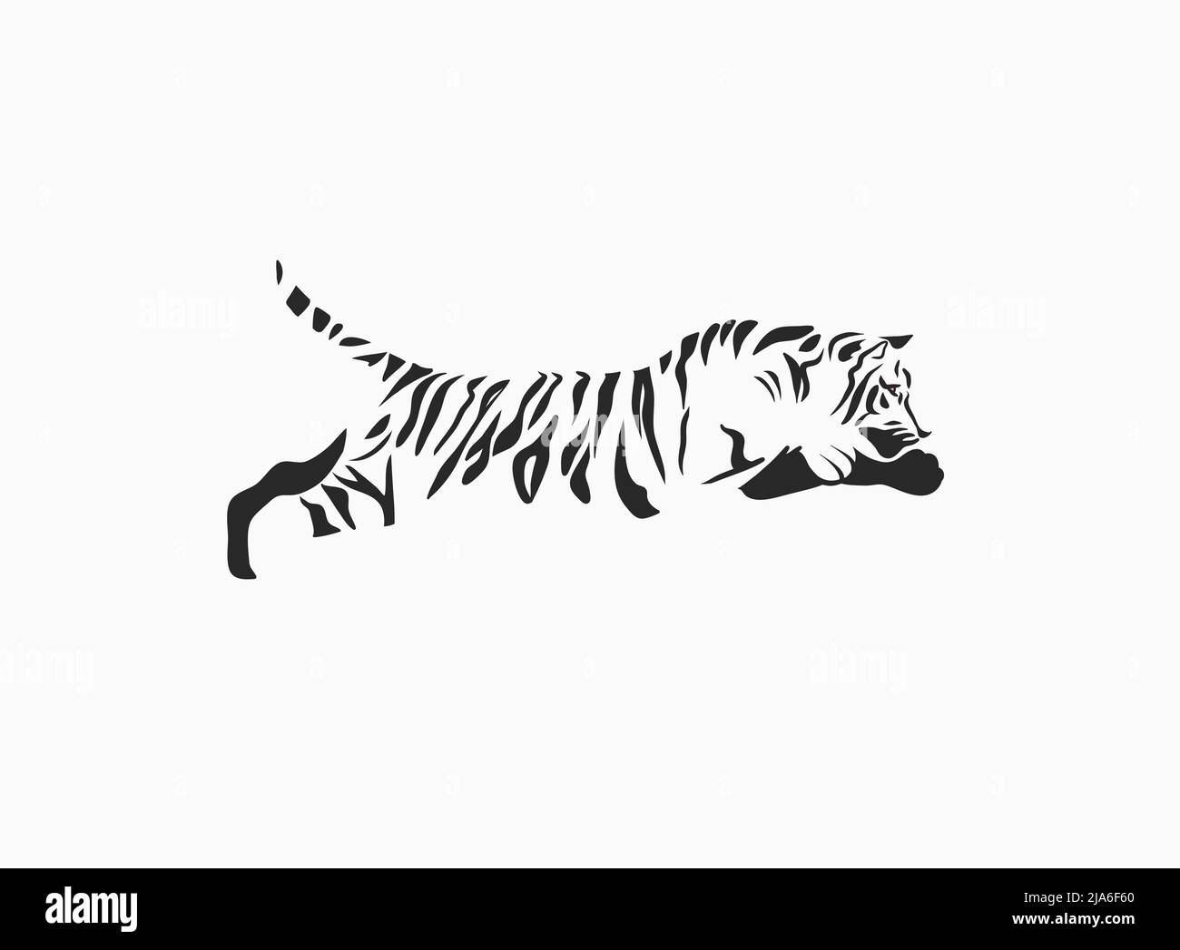 Disegno a mano vettore astratto stock grafico cartoon illustrazione con bellezza cute trendy fauna selvatica bianco, disegno tigre, nero e bianco texture isolato su Illustrazione Vettoriale