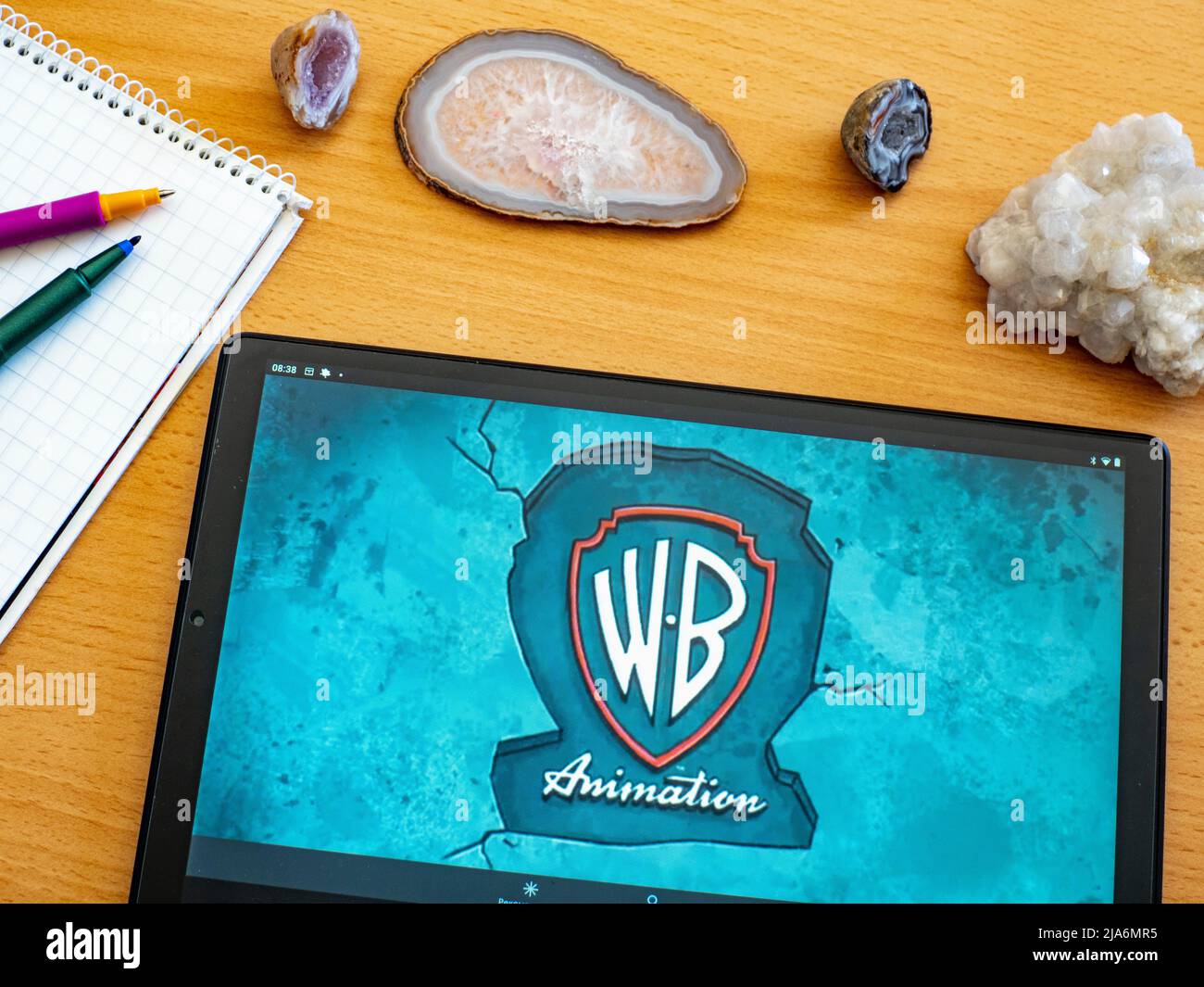 In questa foto è mostrato il logo Warner Brothers Animation visualizzato su un tablet Foto Stock