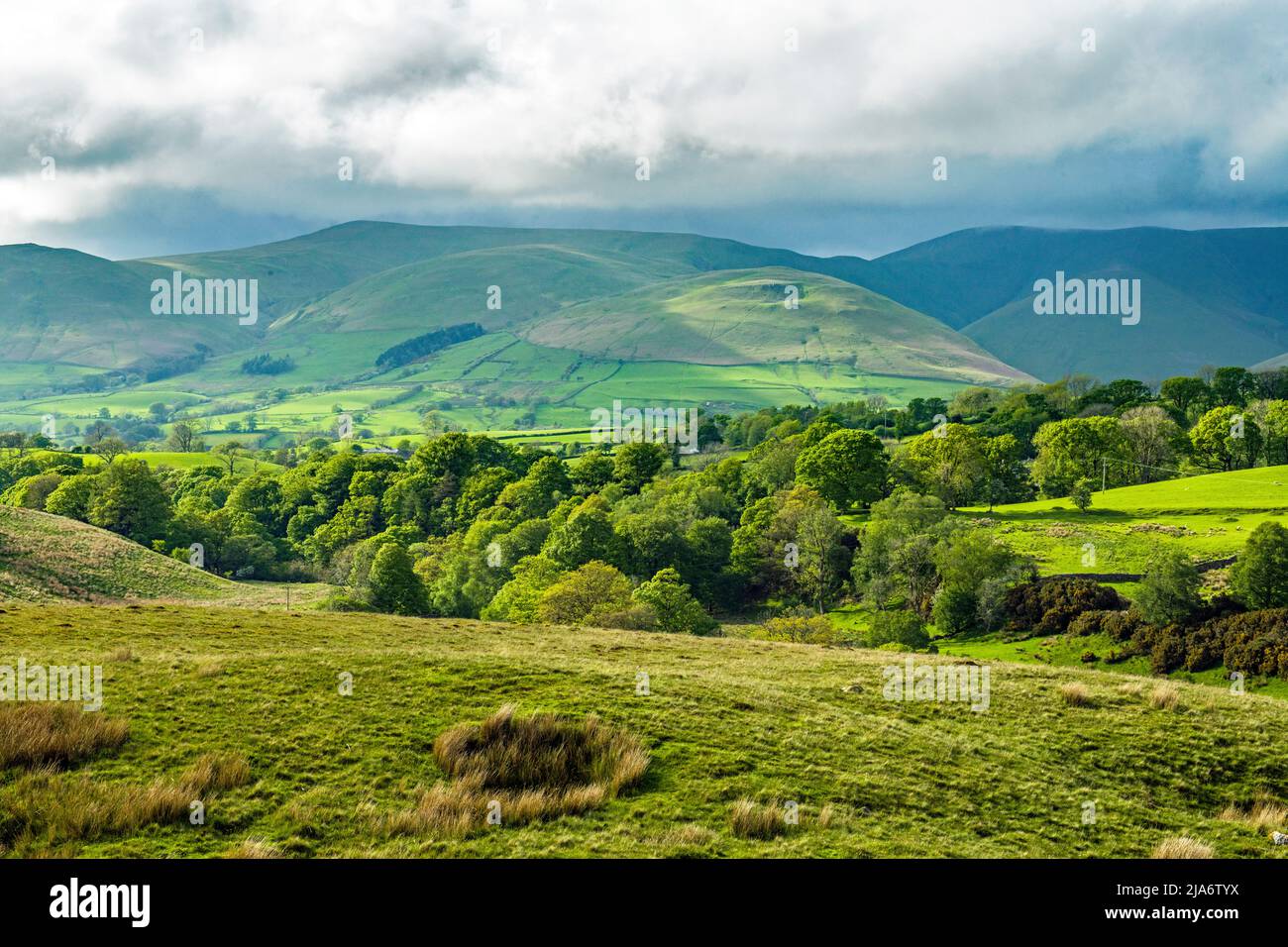 Una bella vista di parte delle Howgill Fells, tra cui Sickers, è caduto vicino a Sedbergh in Cumbria in una luce difficile Foto Stock