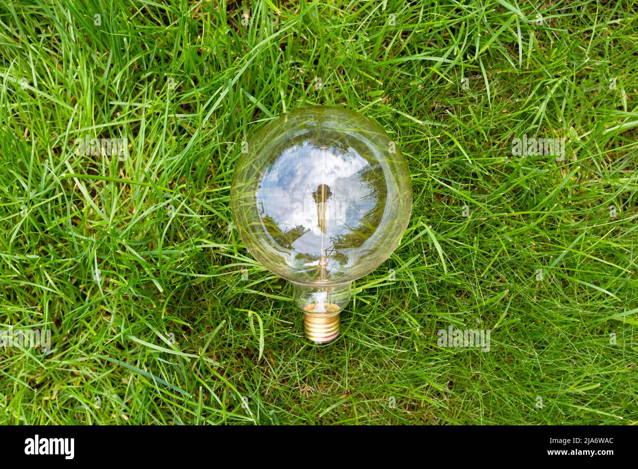 Lampada a incandescenza nel primo piano dell'erba. Vista dall'alto. Foto Stock