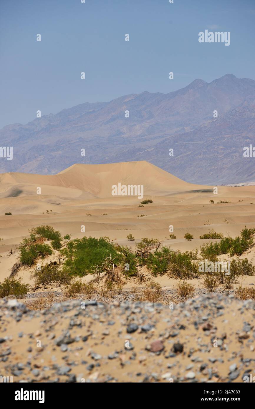 Dettaglio delle dune sabbiose di Mesquite Flat nelle montagne della Death Valley Foto Stock