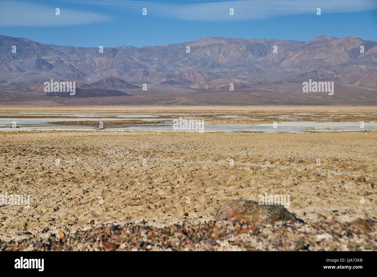 Pianure desertiche piatte con erbe abbronzanti e montagne in lontananza Foto Stock