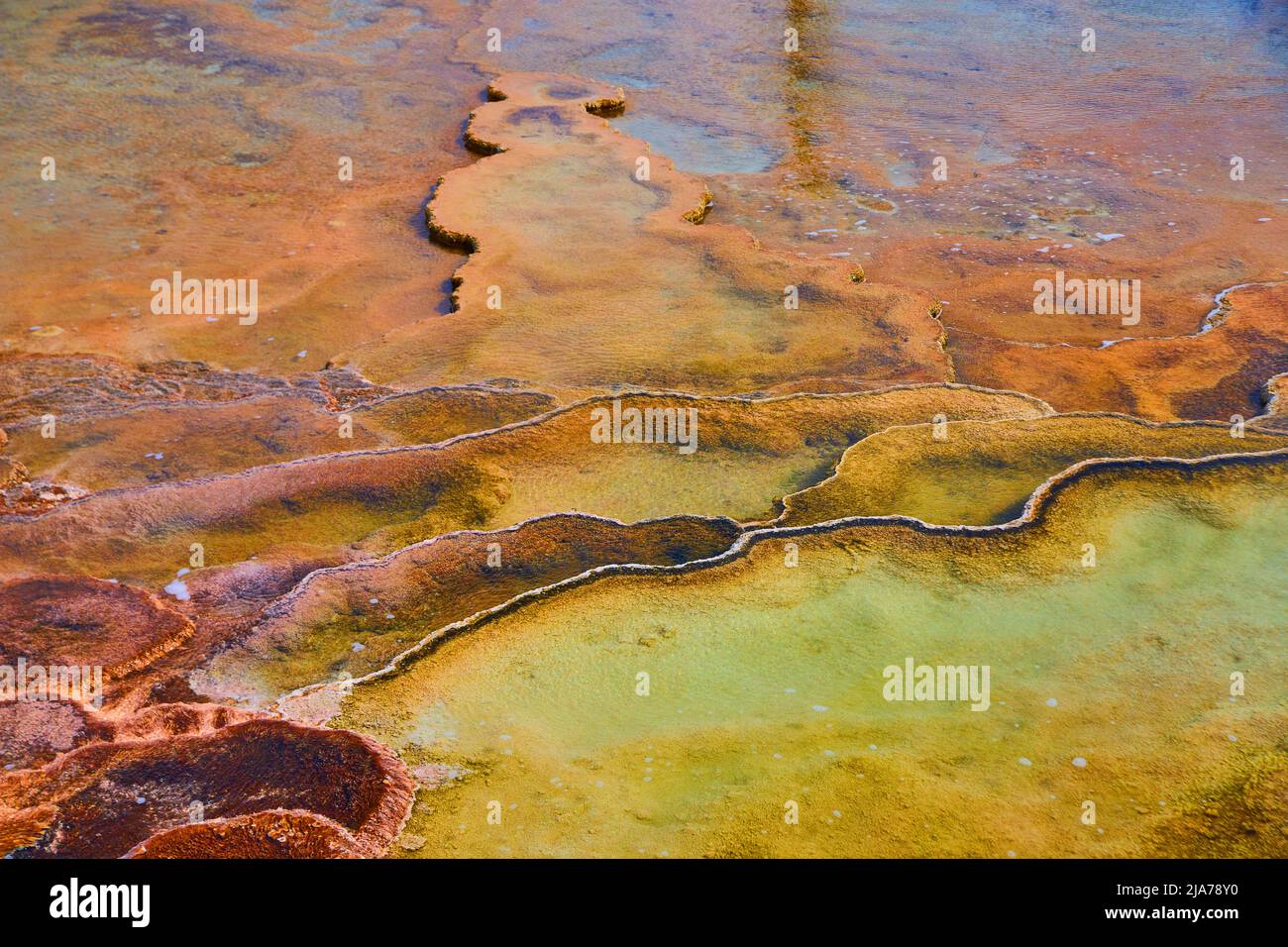 Belle terrazze di tutti i colori nelle sorgenti termali di Yellowstone Foto Stock