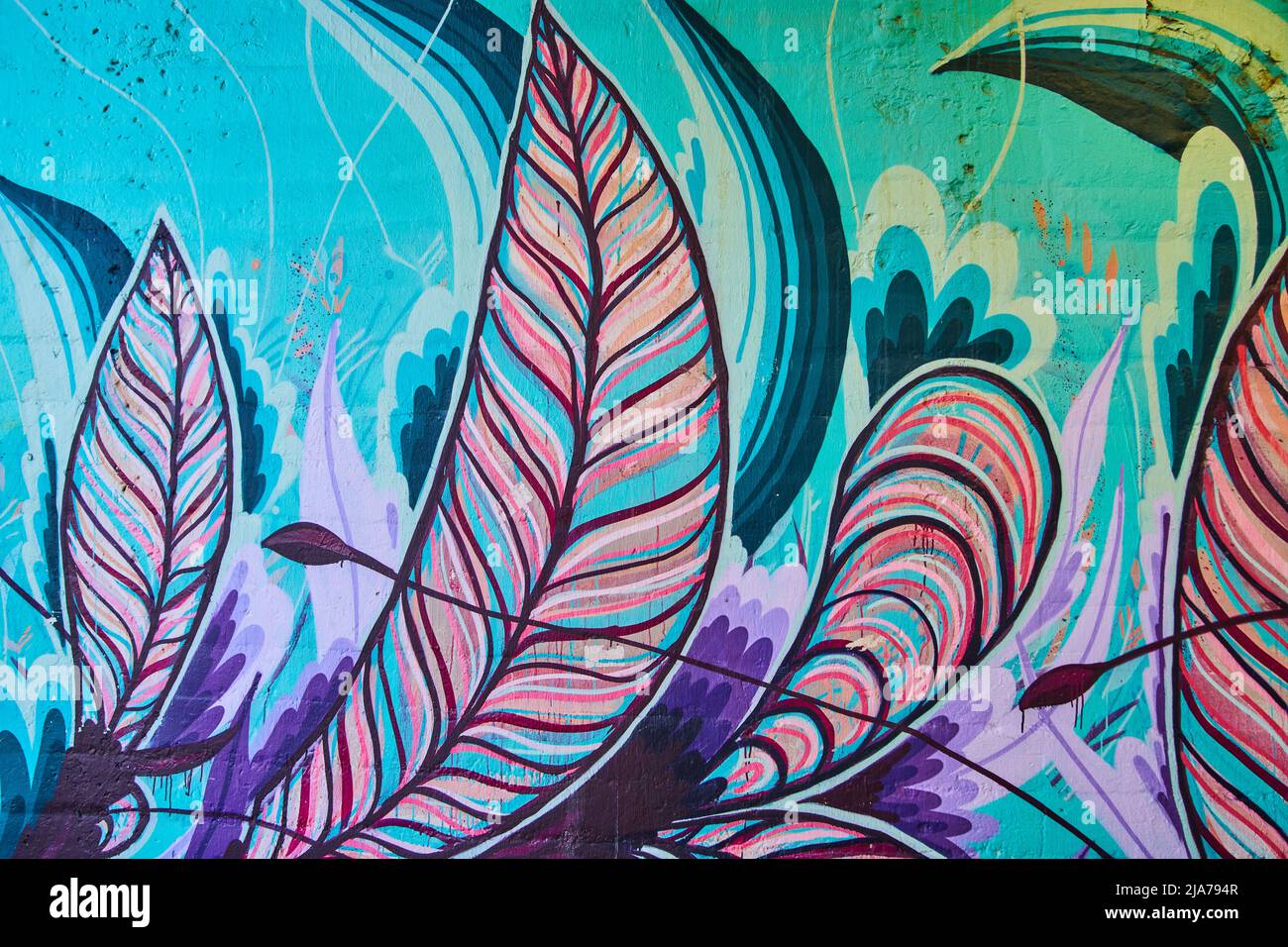 Dettaglio di graffiti in piuma colorati alla parete Foto Stock