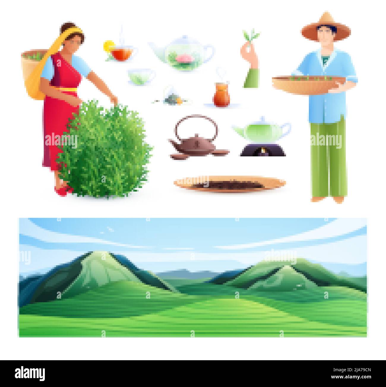Produzione di tè naturale set piatto di donna indiana e uomo cinese occupato raccolta illustrazione vettoriale Illustrazione Vettoriale
