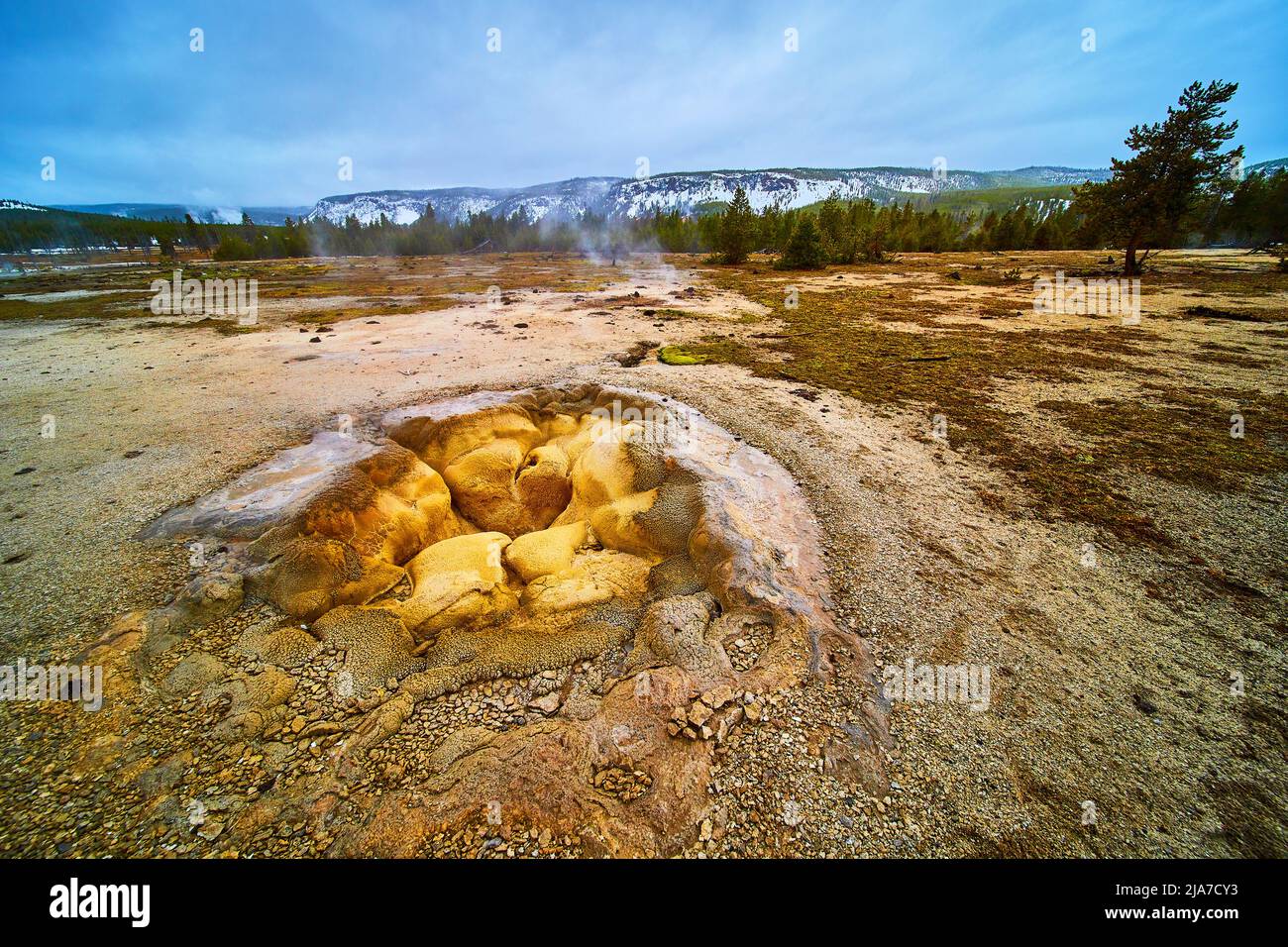 Geyser a Yellowstone Biscuit Basin durante l'inverno Foto Stock