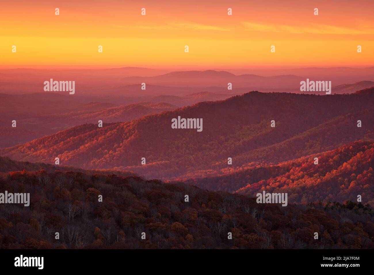 L'alba autunnale da Rattlesnake si affaccia nel Parco Nazionale di Shenandoah in Virginia Foto Stock