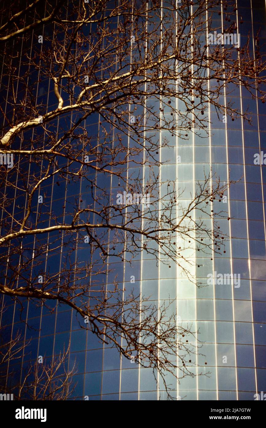 Il grattacielo più a sud di Manhattan, New York City 1988 Foto Stock