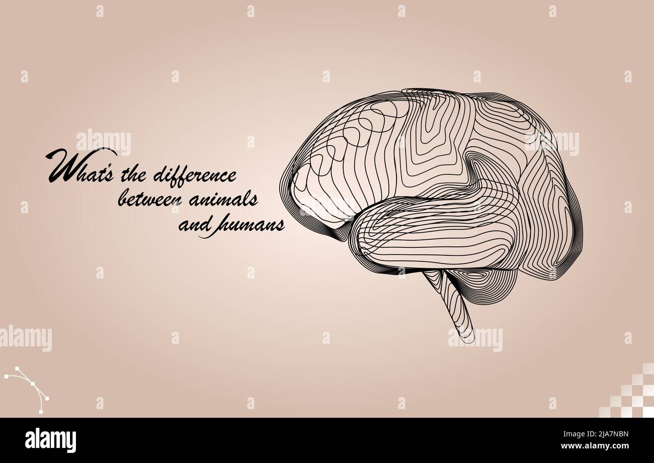 3d linea rig linea geometrica mesh miscela vista laterale arte dell'organo umano il cervello Illustrazione Vettoriale