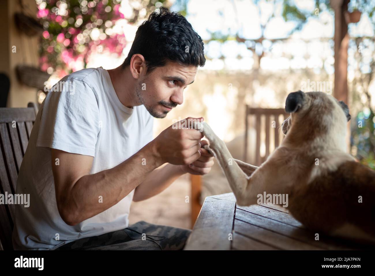 un giovane gioca con il suo cane in giardino Foto Stock