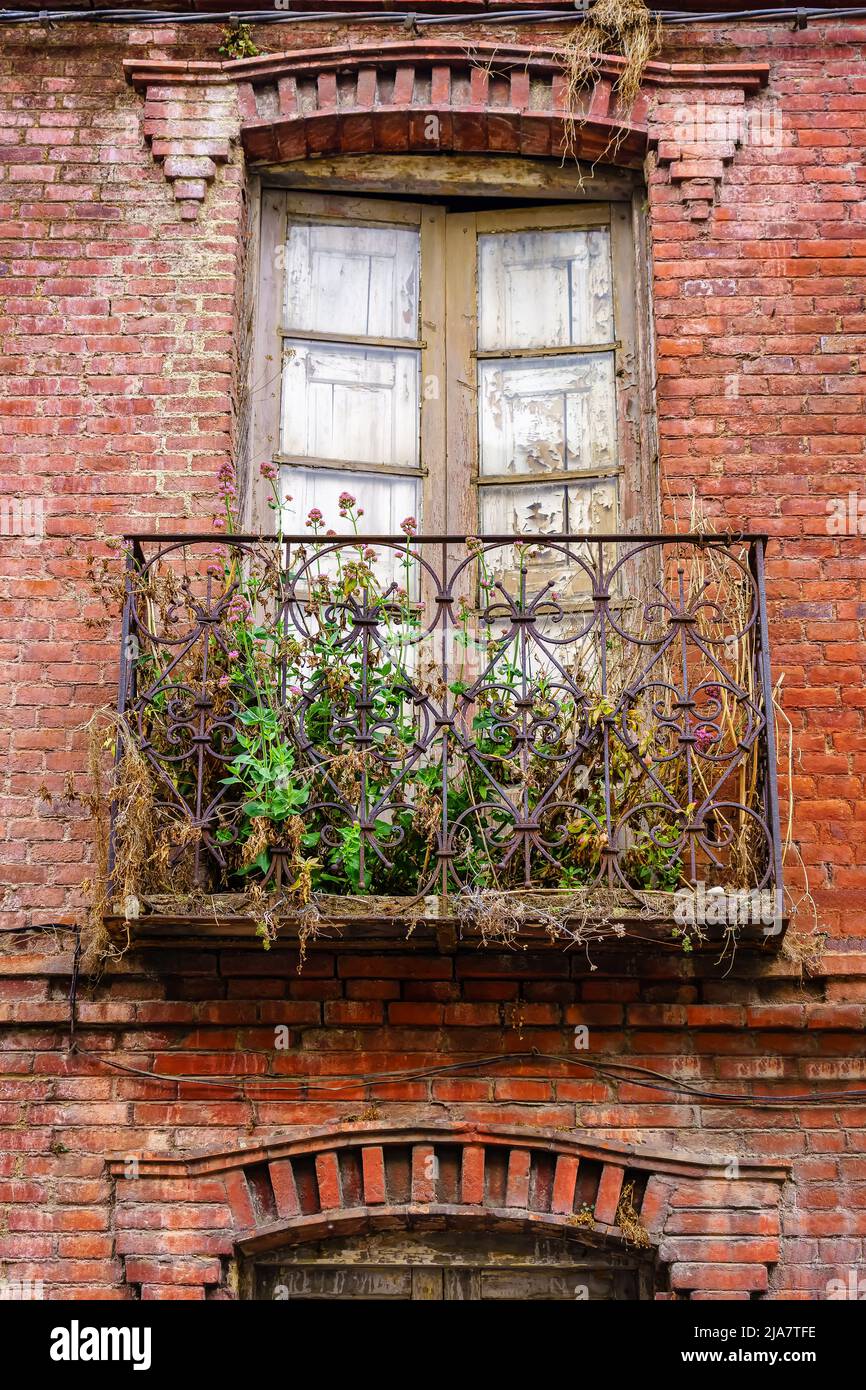 Facciata di vecchia casa in mattoni e abbandonato con piante secche sul balcone. Foto Stock