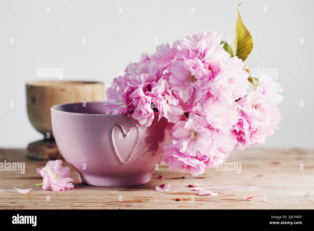 I ciliegi giapponesi sbocciano in una ciotola rosa con un cuore. Foto Stock