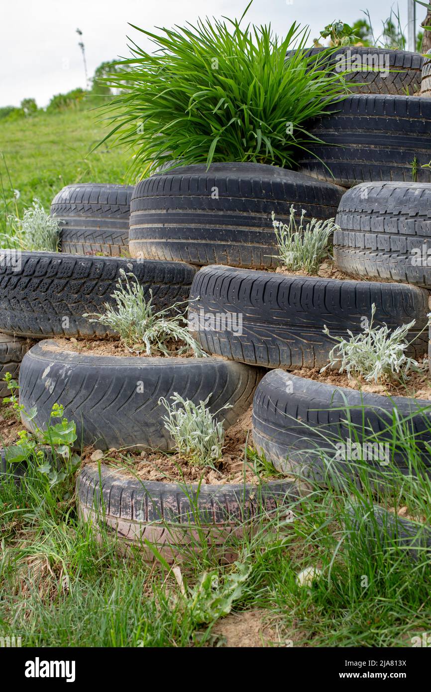 Parete del pneumatico piena di terra e piante, realizzata per il consolidamento delle colline. Foto Stock