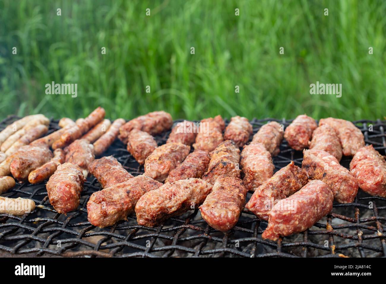 Mici o mitititei, cibo da picnic tradizionale rumeno, su una griglia calda dietro i cespugli o l'erba alta Foto Stock