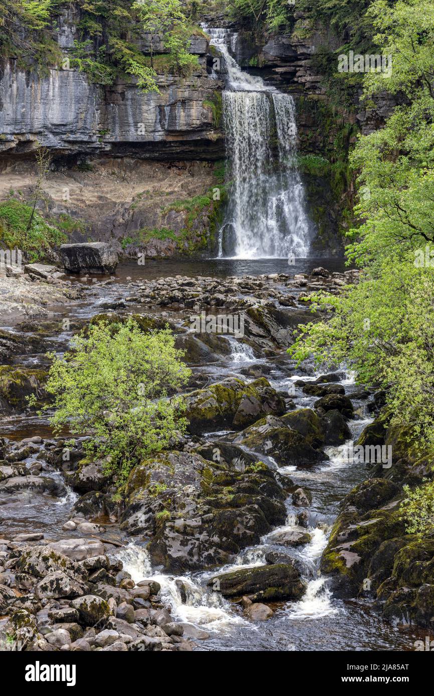 Thornton Force è una delle cascate più spettacolari viste sull'impressionante Ingleton Waterfalls Trail nelle Yorkshire Dales, Inghilterra, Regno Unito Foto Stock