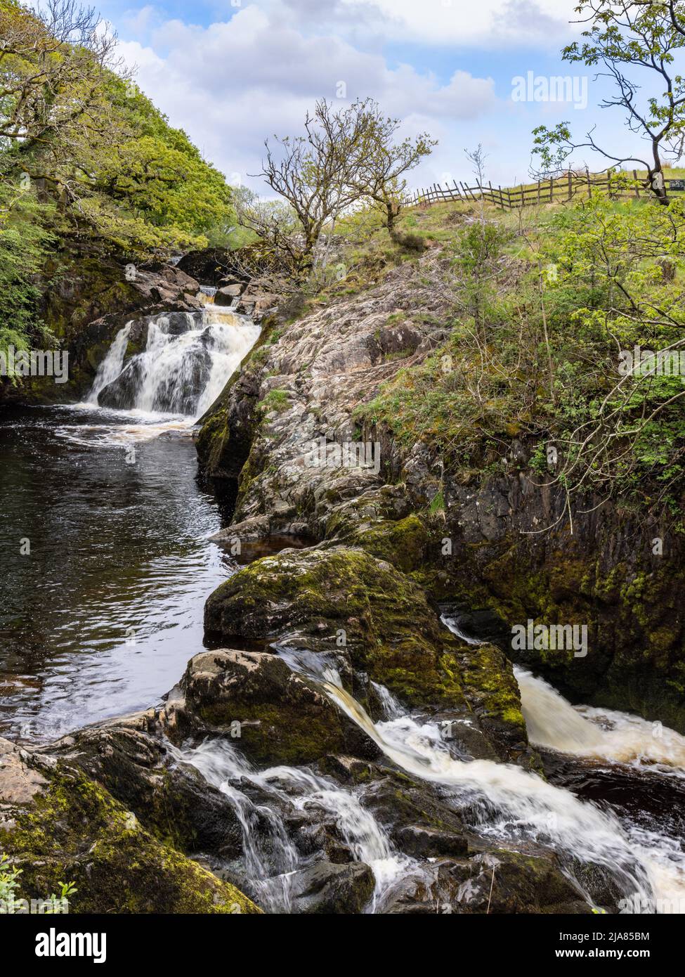 Cascate di Beezley sul fiume Doe sul sentiero delle cascate di Ingleton nel Parco Nazionale Yorkshire Dales, Yorkshire, Inghilterra, Regno Unito Foto Stock Cascate di Beezley sul fiume Doe sul sentiero delle cascate di Ingleton nel Parco Nazionale Yorkshire Dales, Yorkshire, Inghilterra, Regno Unito Foto Stock