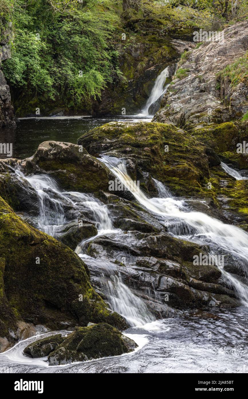 Cascate di Beezley sul fiume Doe sul sentiero delle cascate di Ingleton nel Parco Nazionale Yorkshire Dales, Yorkshire, Inghilterra, Regno Unito Foto Stock Cascate di Beezley sul fiume Doe sul sentiero delle cascate di Ingleton nel Parco Nazionale Yorkshire Dales, Yorkshire, Inghilterra, Regno Unito Foto Stock