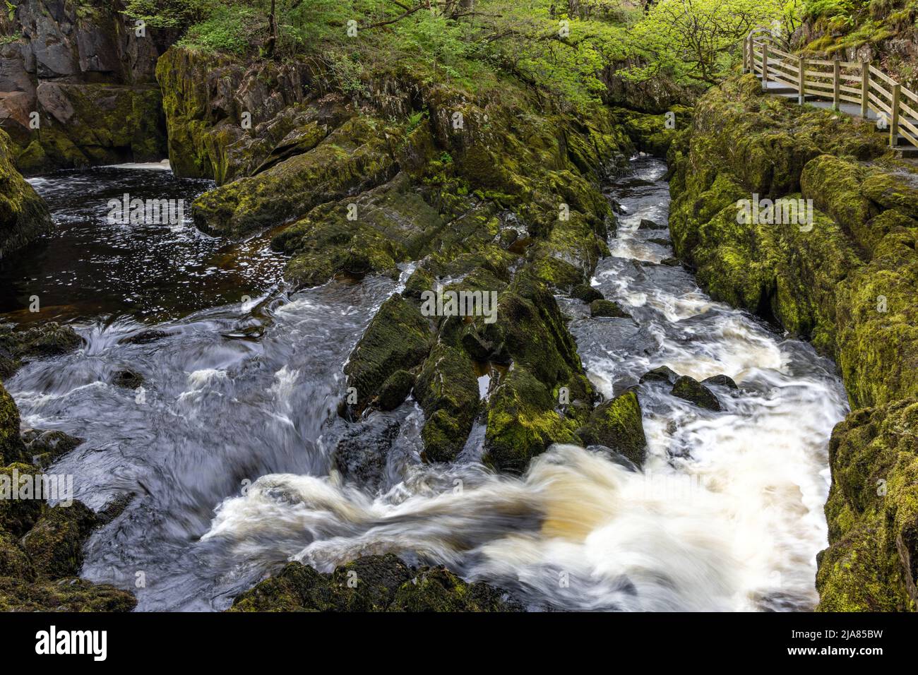 Il fiume Doe sullo spettacolare Ingleton WaterFalls Trail nelle Yorkshire Dales, North Yorkshire, Inghilterra, Regno Unito Foto Stock