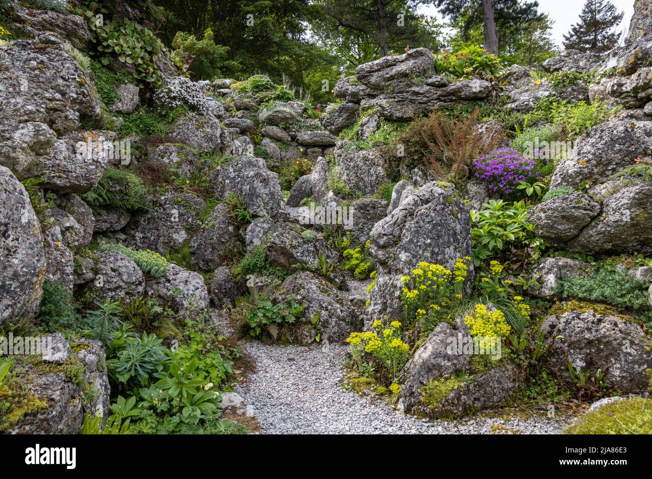 Aysgarth Edwardian Rock Garden, Aysgarth Village, Wensleydale, Yorkshire Dales National Park, Inghilterra Foto Stock