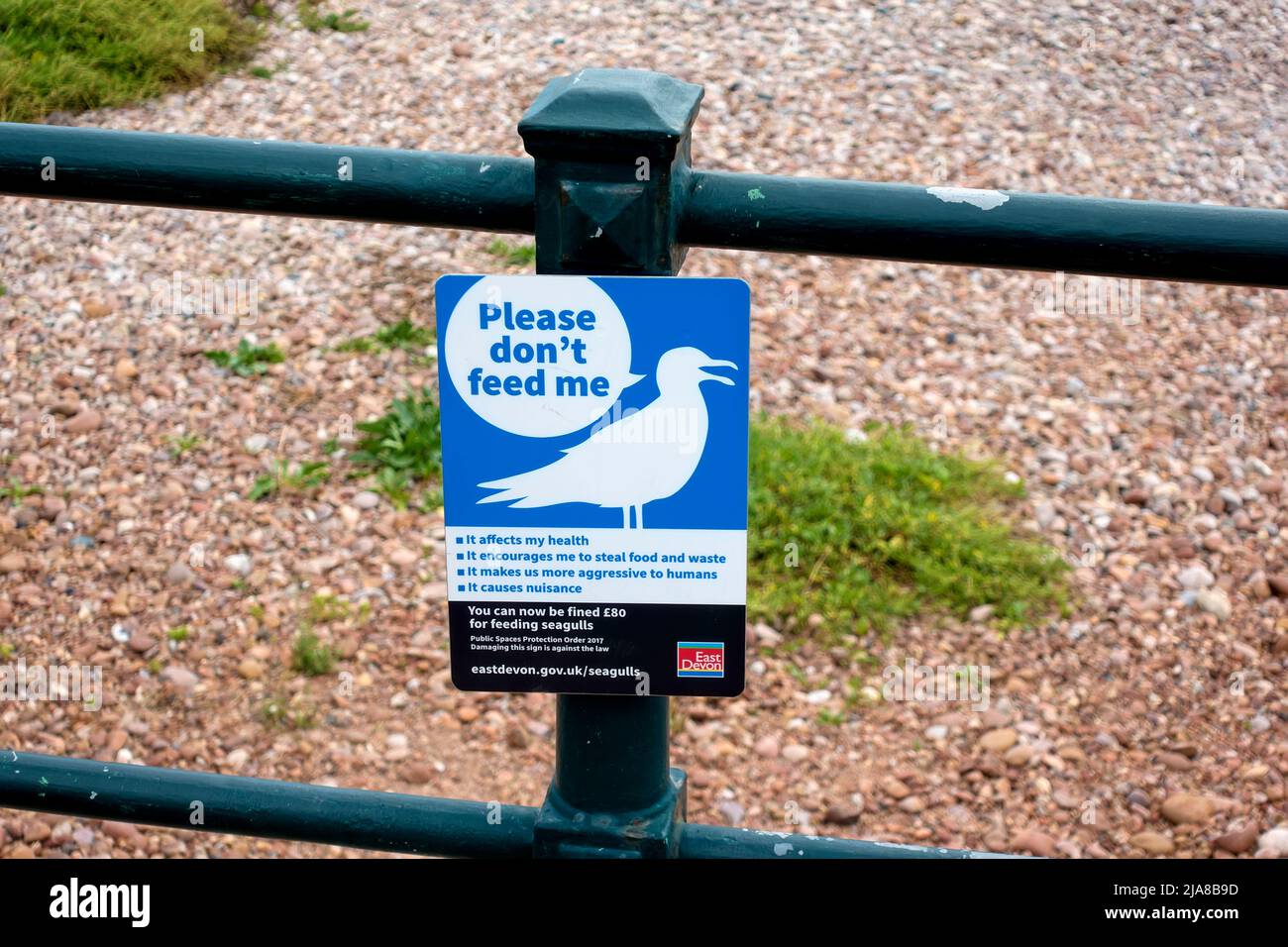 Sidmouth, Devon, UK - Agosto 8 2018: A Please Do't Feed Me Seagull Sign at Sidmouth in Devon, England, UK Foto Stock