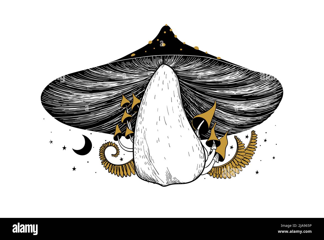 Grande bella foresta fungo, schizzo lineare art. Piante selvatiche icona, concetto di terapia di microdosaggio. Stampa retrò, disegno d'illustrazione vintage. Isolo vettore Illustrazione Vettoriale