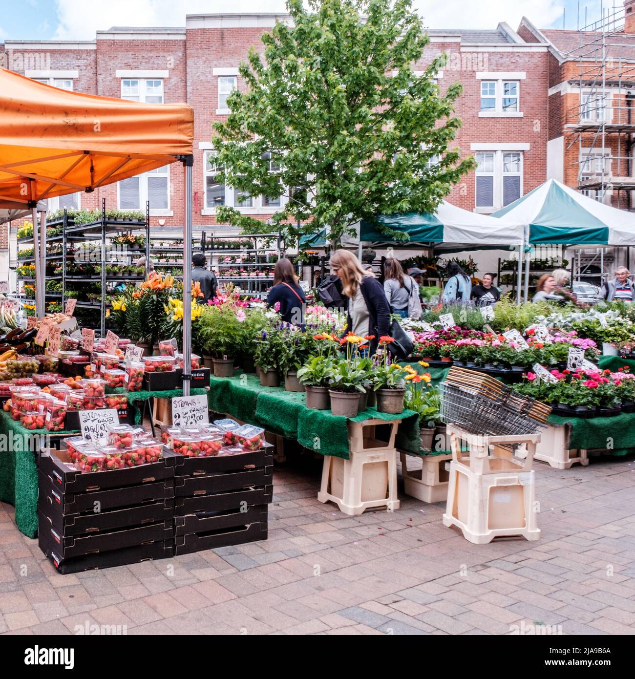 Epsom Surrey, Londra UK, maggio 28 2022, People Shopping at an Outdoor Fruit and Vegetable Market Stall Foto Stock