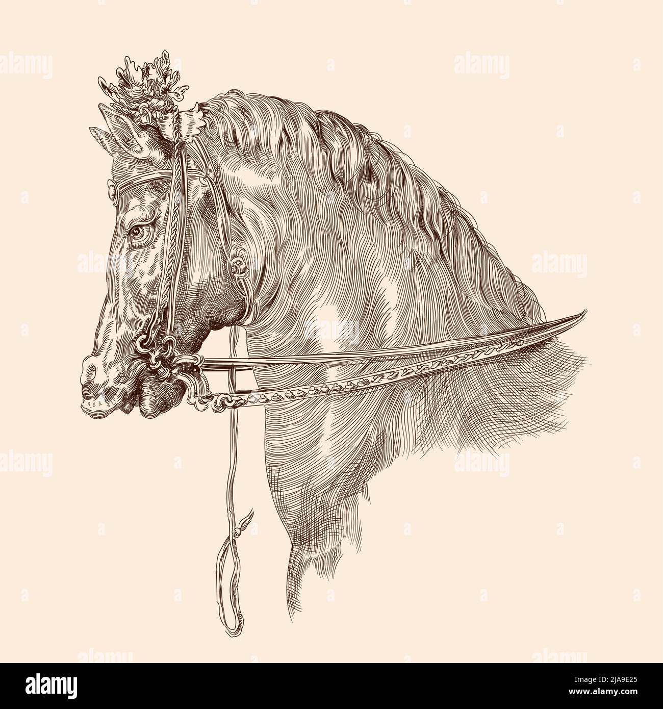 Disegno a testa di cavallo con criniera e finimento in stile vintage su sfondo beige. Primo piano. Illustrazione Vettoriale