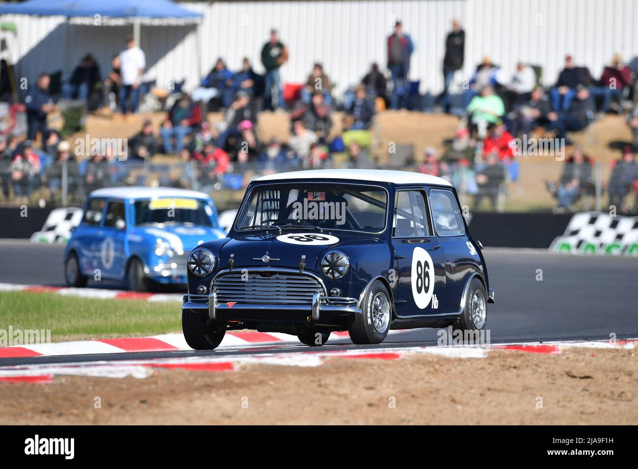 Winton, Australia. 29 maggio 2022. Il francese Jonathon dell'Australia Meridionale guida la classe N del Gruppo a turno 3 del circuito di Winton in un 1964 Morris Mini Cooper S. credito: Karl Phillipson/Optikal/Alamy Live News Foto Stock